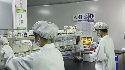 碧蓮生物 化妝品工廠為品牌代加工壓力大不大,科技探索創(chuàng)新產品